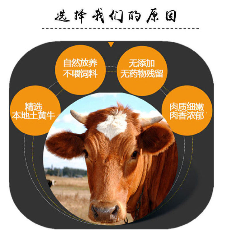 新鲜不调理黄牛肋排黄牛排骨牛肋排骨正宗散养牛排骨包邮