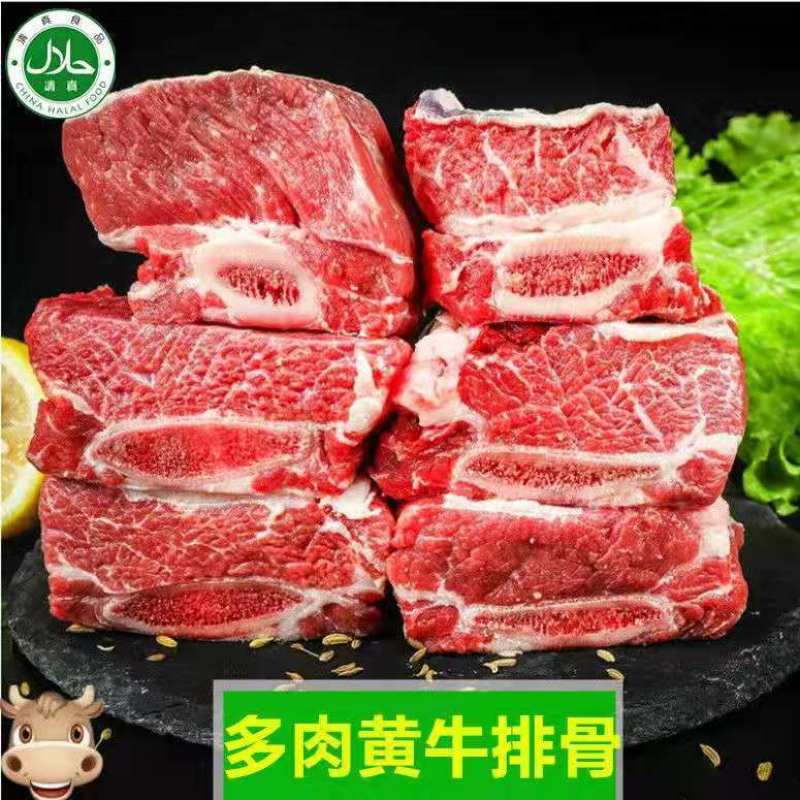 新鲜不调理黄牛肋排黄牛排骨牛肋排骨正宗散养牛排骨包邮