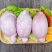 羊宝新鲜速冻羊下水羊下货羊外腰男用烧烤火锅炖汤烤串食材羊