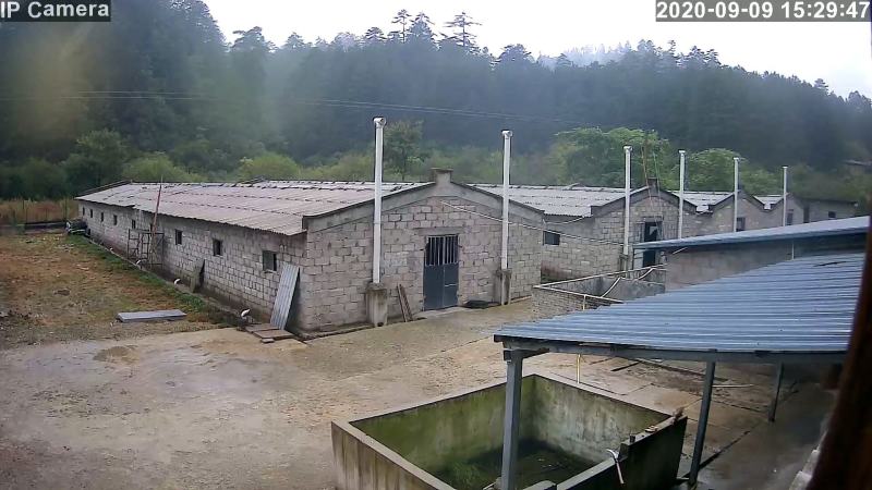 养殖场合作或者转让，鱼塘，苗圃整体寻求合作伙伴。