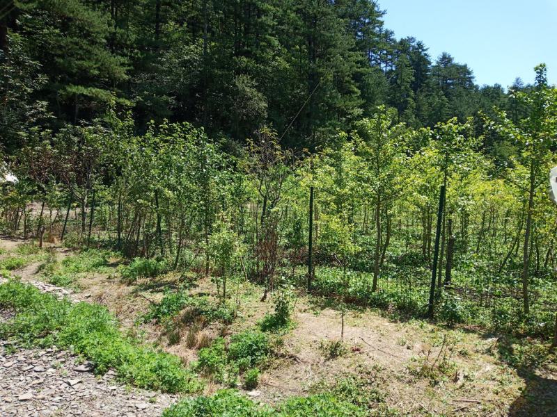 养殖场合作或者转让，鱼塘，苗圃整体寻求合作伙伴。