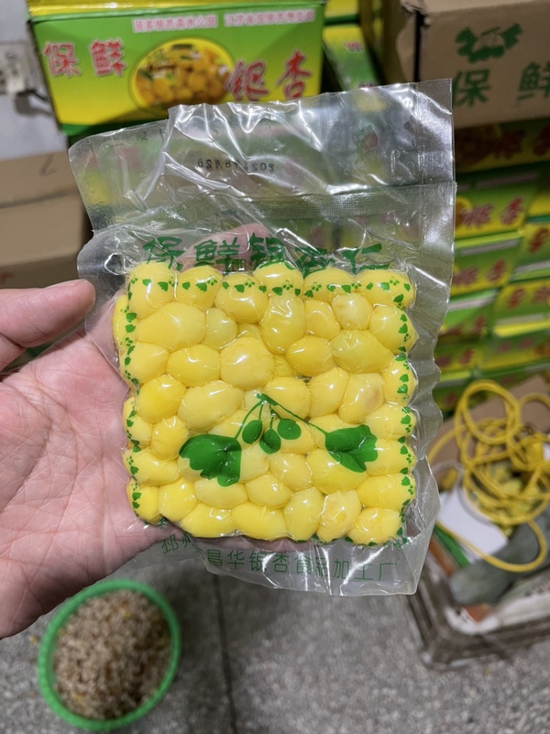 【有好货】大量供应白果银杏果邳州原产地发货