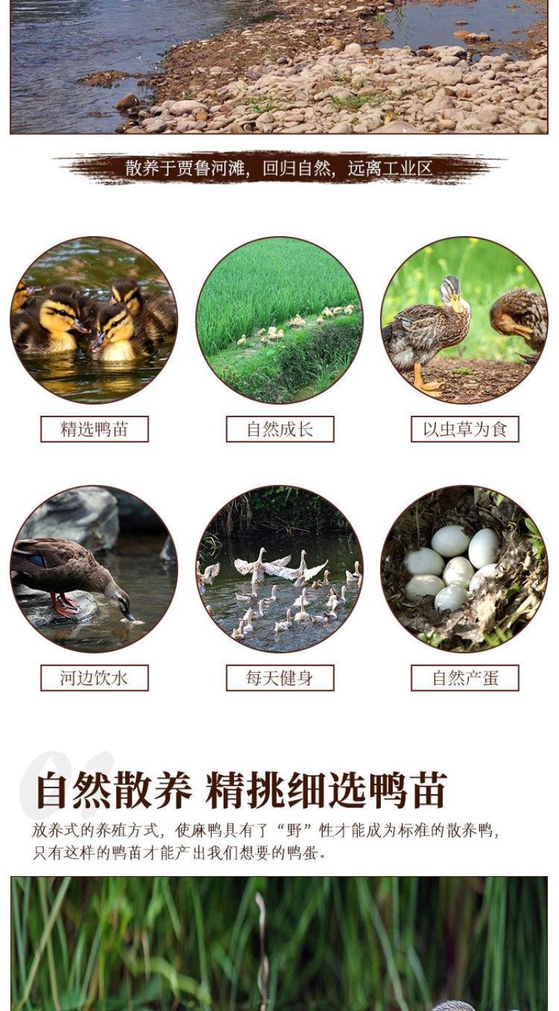 中秋节礼盒鸭蛋礼盒30枚20枚50-80g五香咸蛋包邮
