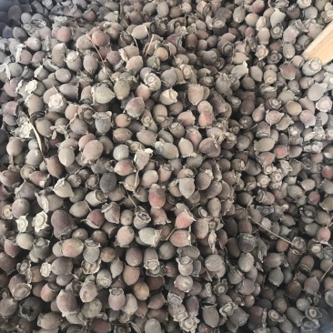 捻子捻子干一蒸一晒捻子干新货支持线上交易量大从优
