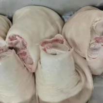 肘子，后肘，前肘，蹄膀，猪肘子