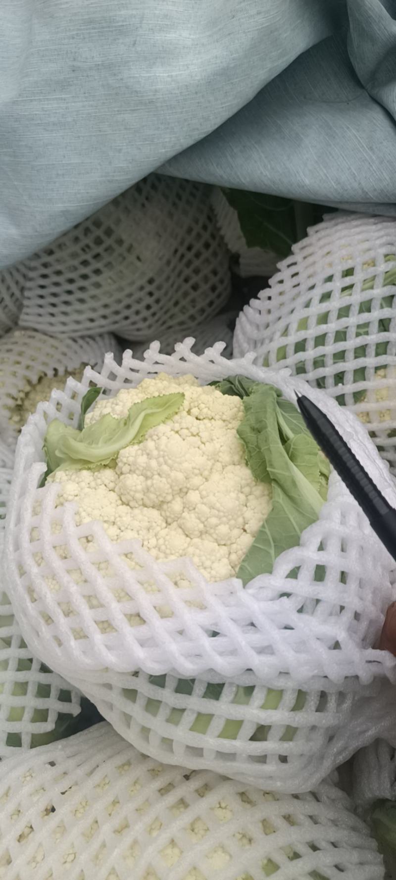 有机花菜大量上市，物美价廉