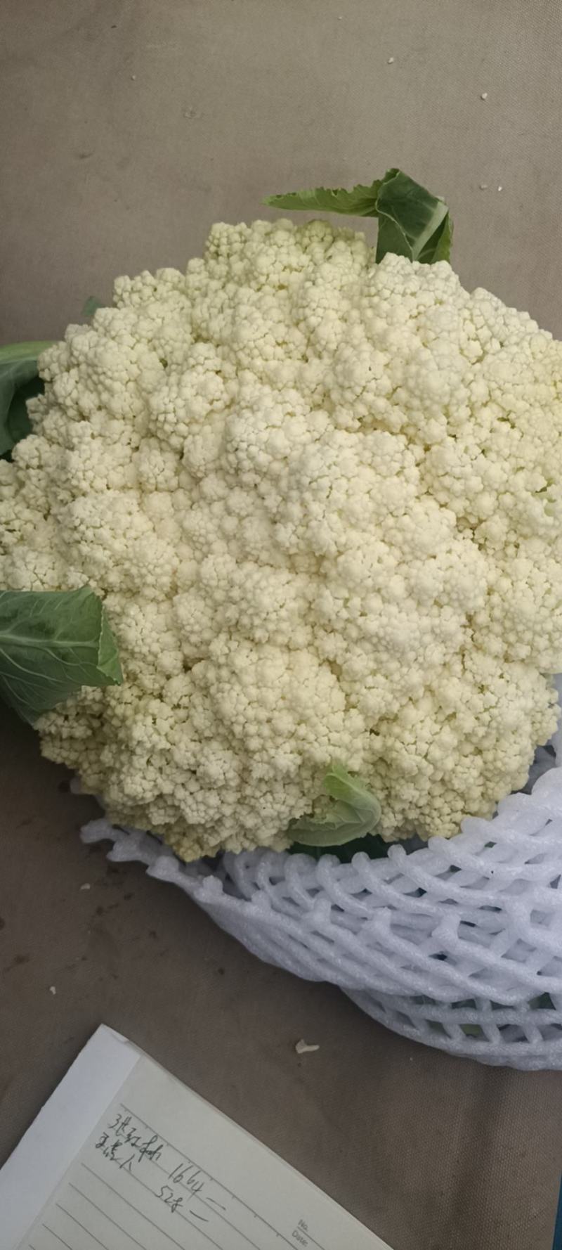 有机花菜大量上市，物美价廉