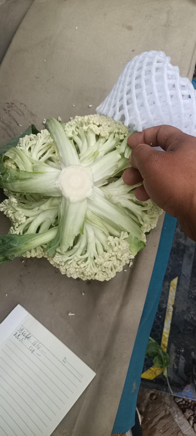 有机花菜大量上市，物美价廉