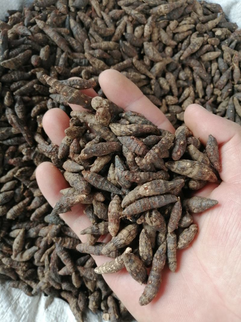 香附中药材香附片无硫无添加经营各种规格中药材