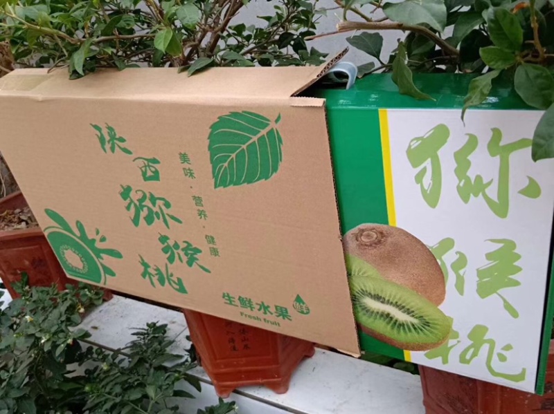 翠香猕猴桃一件代发精品礼盒装送礼发福利5斤装特级