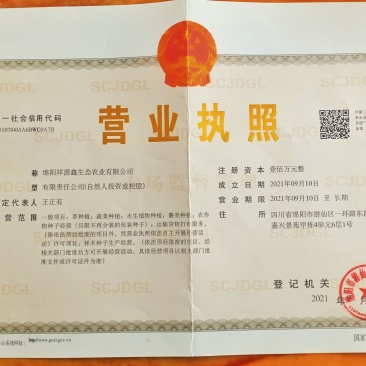 玉米桔杆加工饲料，青储，黄贮，发酵包