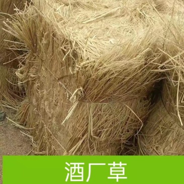 销售优质稻草适用于园林绿化温室大棚保湿，饲料原料.