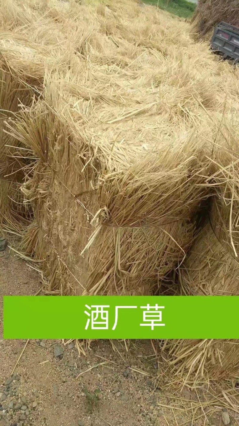 销售优质稻草适用于园林绿化温室大棚保湿，饲料原料.