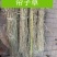 销售优质稻草适用于园林绿化温室大棚保湿，饲料原料.