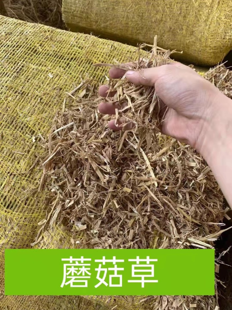 销售优质稻草适用于园林绿化温室大棚保湿，饲料原料.