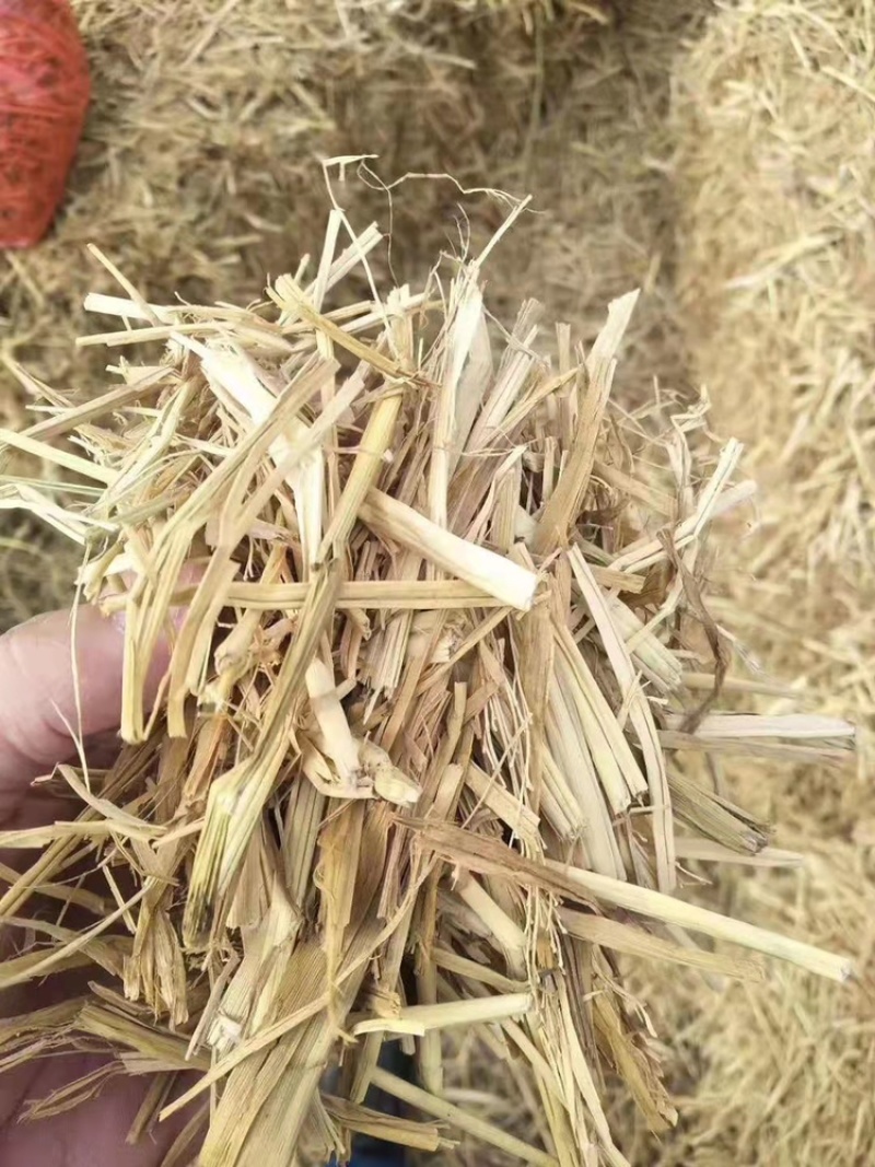 销售优质稻草适用于园林绿化温室大棚保湿，饲料原料.