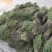 【包邮】新货香青绿柬埔寨野生独脚金靓货足干一手货源