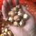 唐菖蒲种球剑兰十三太保四季易种多年生花园地栽阳台盆栽花卉