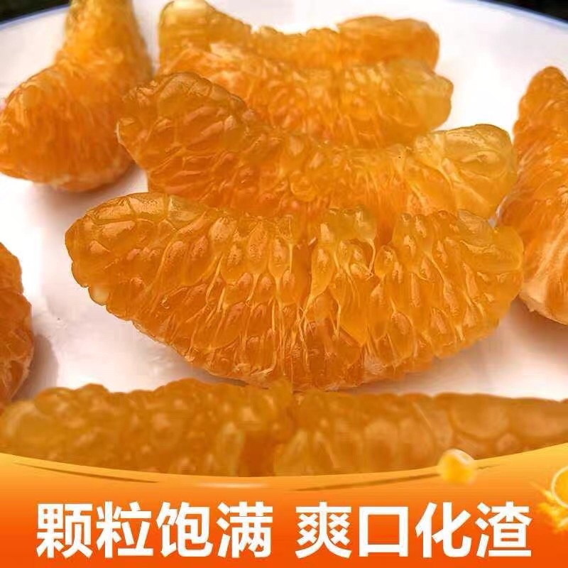 正宗春见耙耙柑纯甜化渣大量供应产地直销提前预定