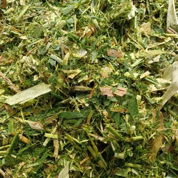 发酵青储压块裹包散装玉米全株压块