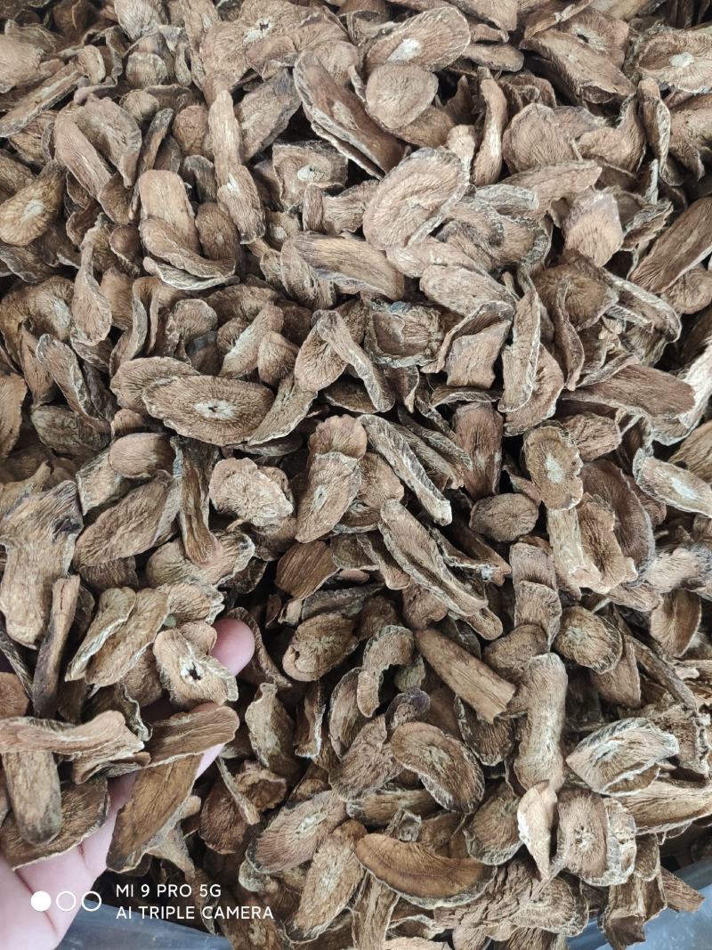 【推荐】牛蒡正品香味浓郁，可视频看货，对接全国市场电商