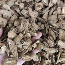 【推荐】牛蒡正品香味浓郁，可视频看货，对接全国市场电商