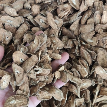 【推荐】牛蒡正品香味浓郁，可视频看货，对接全国市场电商