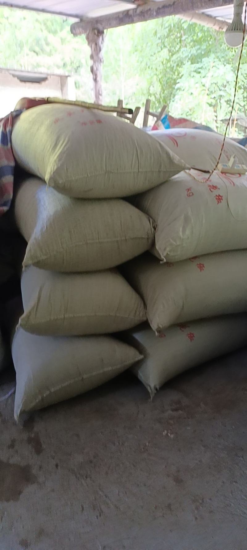 2025年陕西凤县凤椒大红袍特麻特香调味品