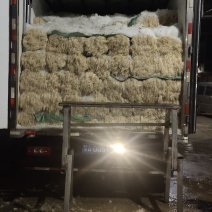 【热卖中】四季小香葱广西柳州精品小葱大量上市对接批发
