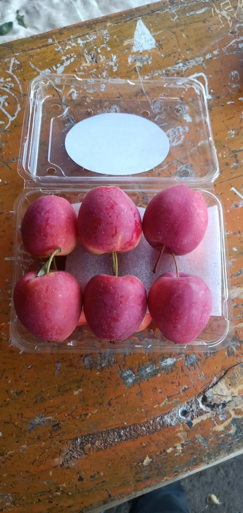 锦绣海棠果