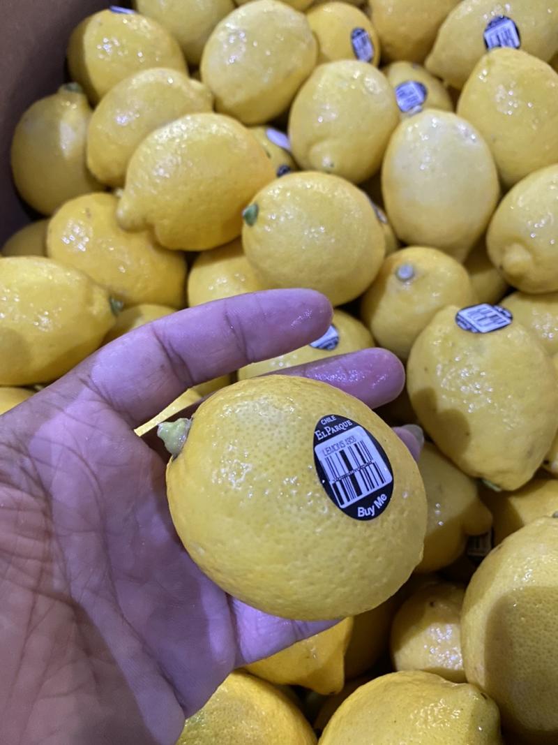 进口柠檬新奇士柠檬智利柠檬尤克力柠檬