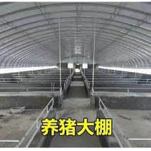 养猪大棚，养鸡鸭鹅大棚养殖大棚。大量批发。零售。