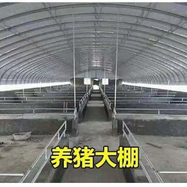 养猪大棚，养鸡鸭鹅大棚养殖大棚。大量批发。零售。