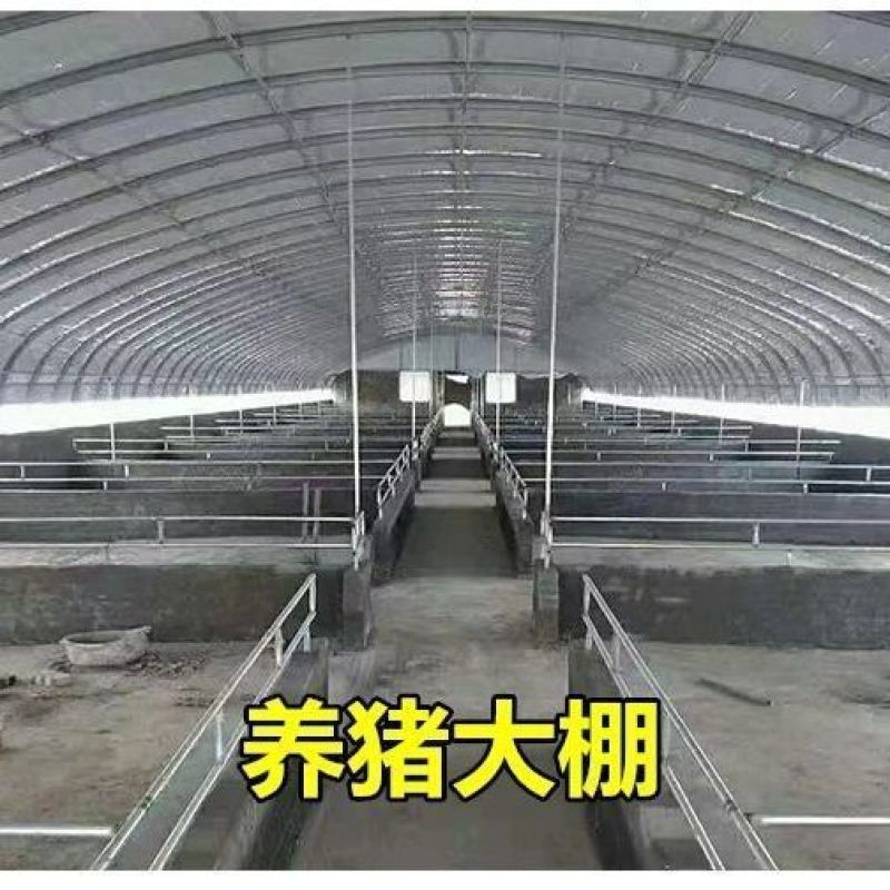 养猪大棚，养鸡鸭鹅大棚养殖大棚。大量批发。零售。