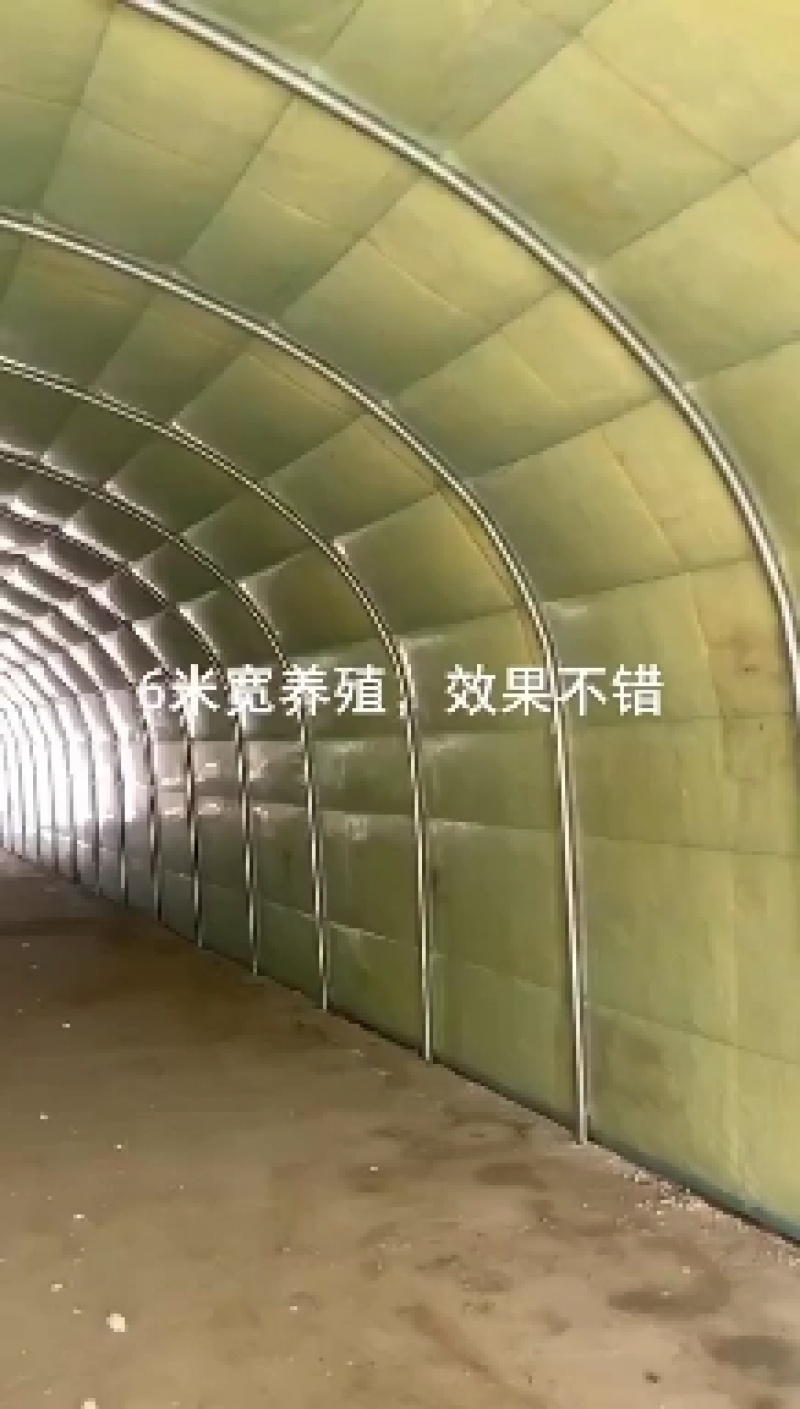 养猪大棚，养鸡鸭鹅大棚养殖大棚。大量批发。零售。