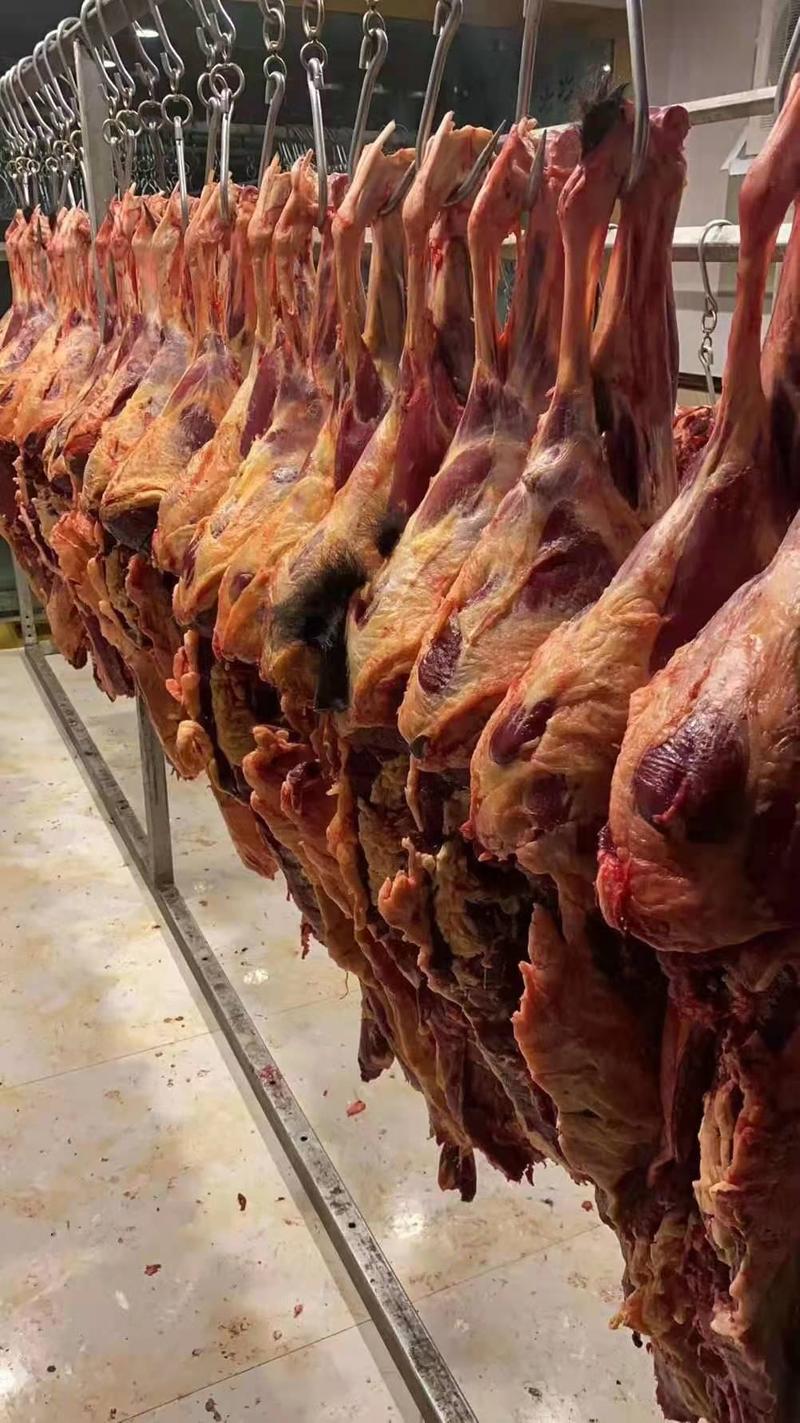 趣湖牧场牦牛柳，青海原产地放牧牦牛肉系列分割产品