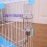 仓鼠兔子龙猫饮水器悬挂滚珠水壶仓鼠松鼠豚鼠鸟狗猫水壶新品