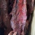 麻辣大块肉、五香大块肉，纯手工制作，先到先得