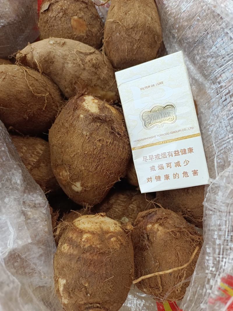 江苏毛芋头、按需分拣、各种规格、全国物流发货、