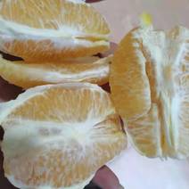 自然品味天成自在-纽荷尔脐橙上市了。产地直供欢迎采购…