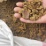 厂家直供牛羊用棉籽饼，新疆面饼，保质保量。