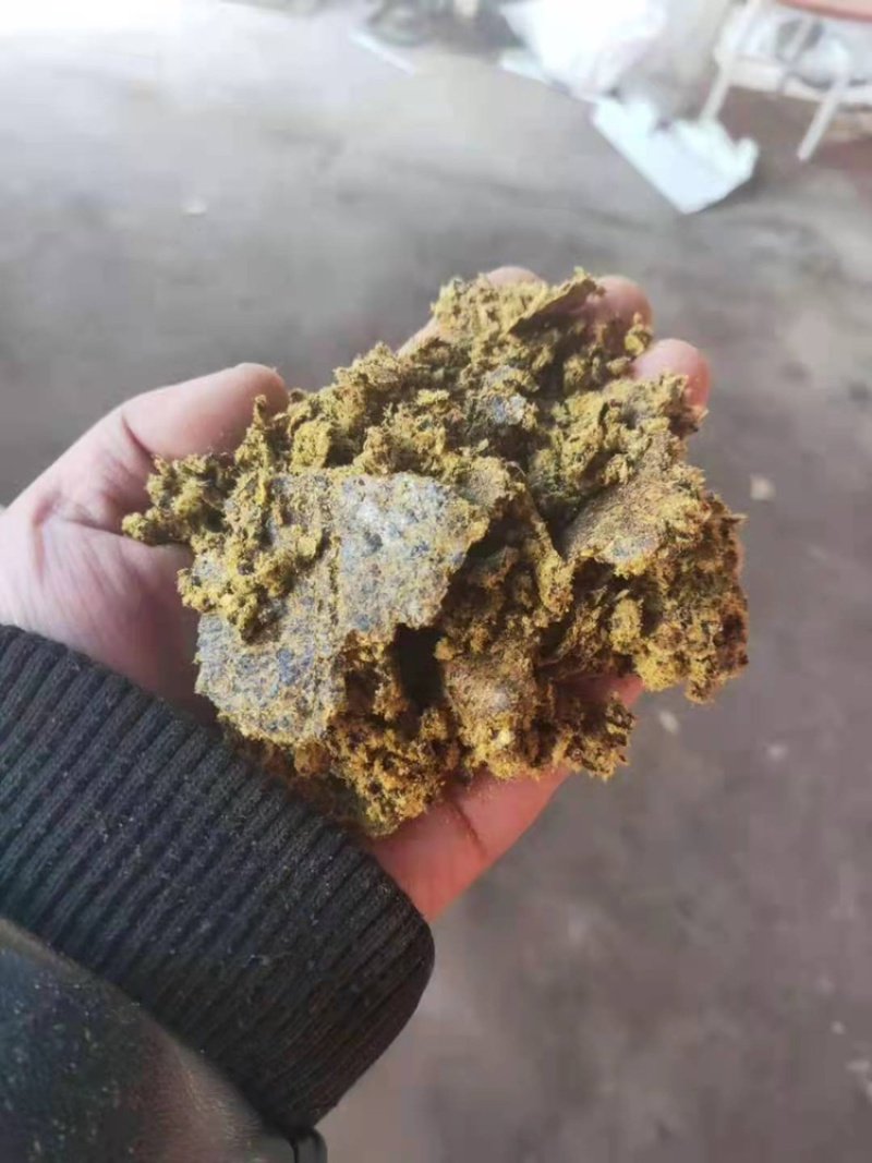 厂家直供牛羊用棉籽饼，新疆面饼，保质保量。