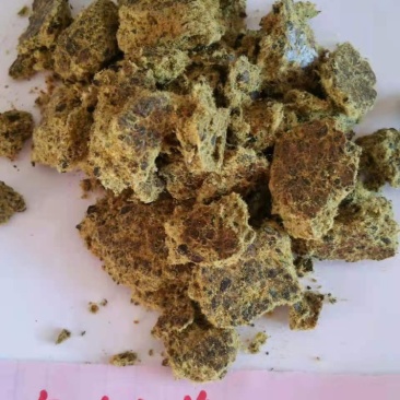 新疆棉籽饼，保质保量，量大从优，欢迎订购。