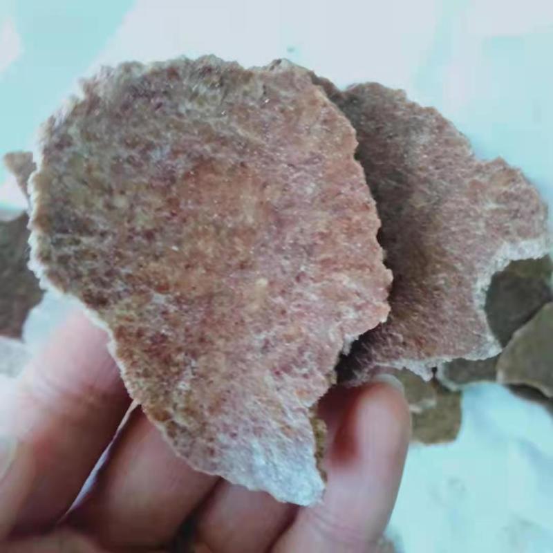 花生饼，纯花生饼猪牛羊饲料产地直销，价格实惠