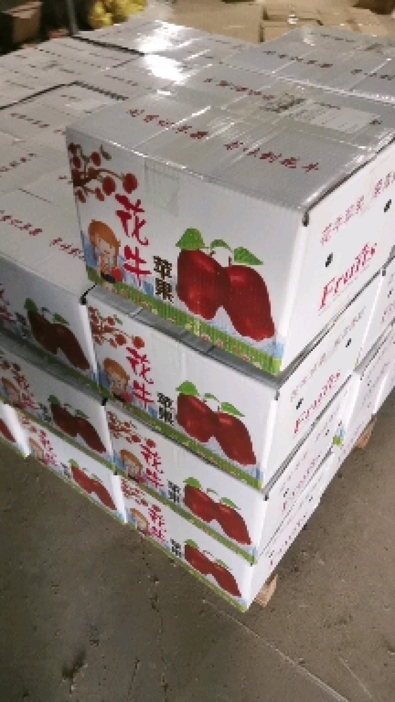 本公司长年做水果供应，流水线打包，品质效率都有保证