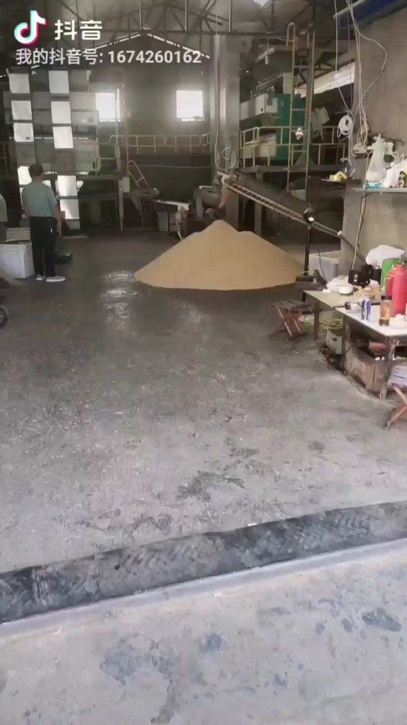 柏子仁统货1000g.起批关书药业批发中药材