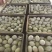 麻壳松花蛋批发大量供应价格美丽质量保证欢迎进店