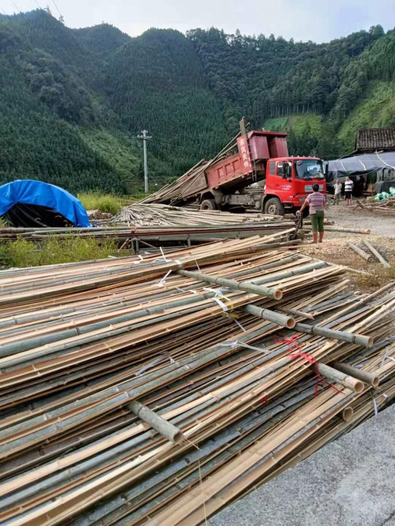 贵州楠竹，圆经二十厘米以上四十多厘米以下可以定制竹片