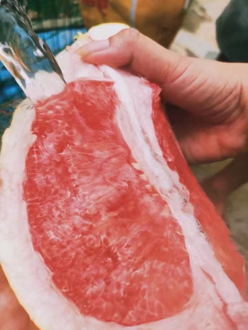 精品蜜柚，口感好，颜色漂亮蜜柚货源充足，欢迎全国电商。
