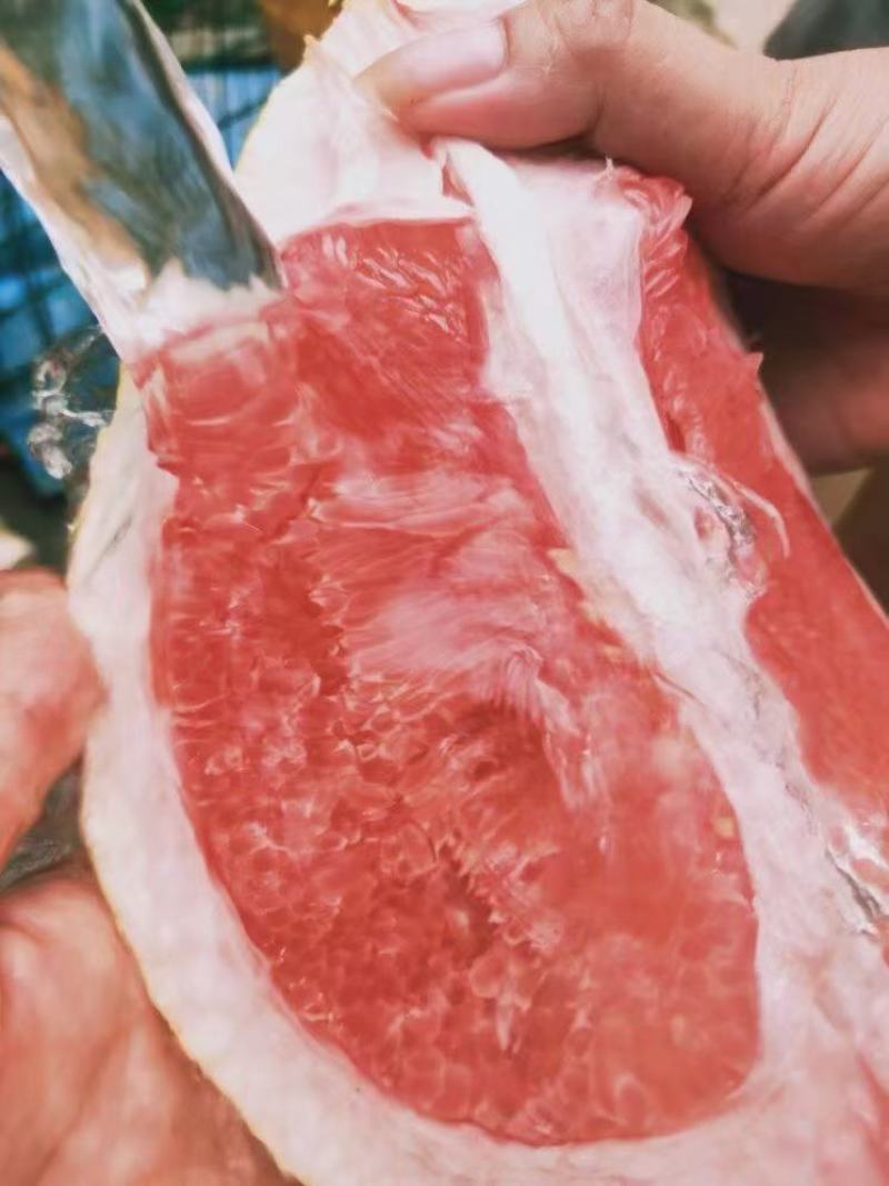 精品蜜柚，口感好，颜色漂亮蜜柚货源充足，欢迎全国电商。